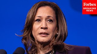 Here Are The Weaknesses In The Kamala Harris Campaign Top Pollster [upl. by Nettle576]