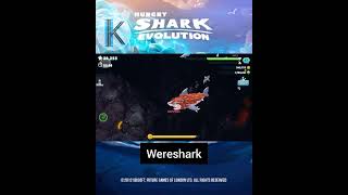 Wereshark Ability [upl. by Biernat]