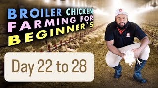 Day 2228 StartUp Costs for Broiler Chicken Farming in South Africa  A Comprehensive Breakdown [upl. by Mccord69]