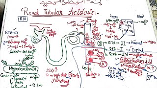 Nephrology medicine lecture 9 🛑 Renal tubular acidosis RTA 1 2 4 nephrology medicine mbbs [upl. by Glynnis683]