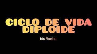 CICLO DE VIDA DIPLOIDE musical uamiztapalapa uami microbiology [upl. by Hovey]