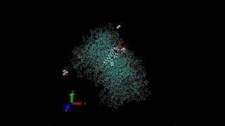 VMD BromoformPeroxisome interaction [upl. by Noyes]