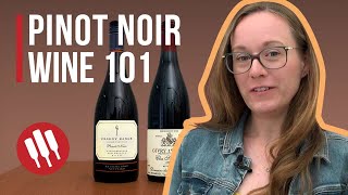 Pinot Noir Everything you need to know  Grapes 101 [upl. by Kowalski]