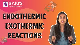 Endothermic and Exothermic Reactions [upl. by Leeban]