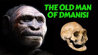 Dmanisi Hominids  Mysterious Archaic Human Origins Explained [upl. by Yessydo]