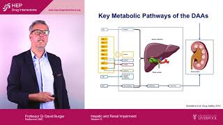 Hepatitis Clinical Pharmacology Course Session 9 Hepatic and Renal Impairment [upl. by Egief]