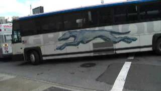 NJT MCI D4000 D4500 D4500CT 102DWA3 CNG Flxible NovaBus RTS06  40th Street 400th vid [upl. by Arahsat826]