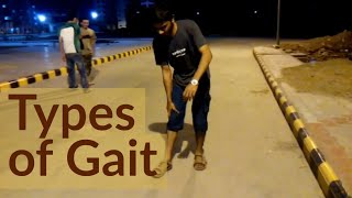 TYPES OF GAIT [upl. by Etnomaj657]