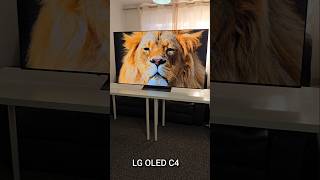 LG C4 OLED TV  Best TV for Gaming [upl. by Minne]