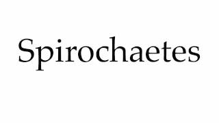 How to Pronounce Spirochaetes [upl. by Ssac]