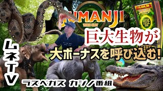 【ラスベガス カジノ】超巨大”ジュマンジ”の動物たちとギリギリの触れ合いムネTV [upl. by Htenywg]