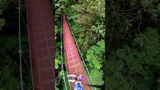 Costa Rica Monteverde Cloud Forest Hanging Bridge [upl. by Anecusa]