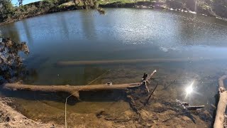 Hawkesbury River Trout Season Opening Day [upl. by Gnok620]