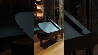 Getting prepared for Argerich and Margulis shorts [upl. by Nitsud]