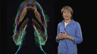 Carolyn Bertozzi UC Berkeley Part 2 Imaging the Glycome [upl. by Rosina]