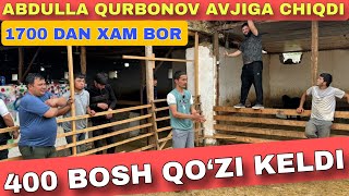 ABDULLA QURBONOV 500 MINGDAN ARZON QIBERDI UKALARINI QO‘ZILARNI [upl. by Uhthna418]