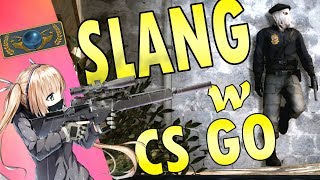 SLANG W CSGO 3 [upl. by Esorbma]