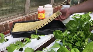 Hydroponics at Surry Community College [upl. by Eicart]