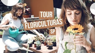 Descubra as melhores floriculturas para comprar suas plantas  Marieli Mallmann [upl. by Daza]