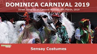 Dominica Carnival 2019 Sensay Costumes [upl. by Guibert379]