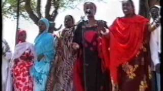 Somaliland Hees Wadani Ah  Difaac Ciidan Qaran [upl. by Abdu]