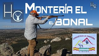 MONTERÍA EL BONAL POR CINEGÉTICA LA TRAPERA Córdoba [upl. by Llorre839]