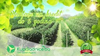 wwwKupiSadniceba  promo video jesen 2015 [upl. by Vassell845]