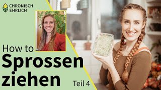 Sprossen selber ziehen im Sprossenglas  Sprossensamen Tutorial Teil 4 [upl. by Yoshi]