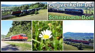 Die Bözbergstrecke  Zugverkehr bei SchinznachDorf Aargau Schweiz 2020 [upl. by Amalle]