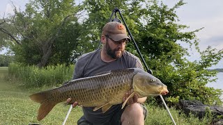 Niagara River Carp Fishing with Pallatrax Gripz hooks [upl. by Calbert689]