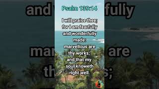 Fearfully and Wonderfully Made Psalm 13914 KJV [upl. by Ellary660]