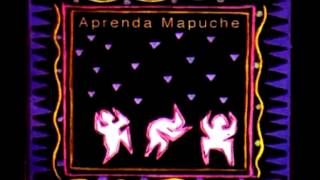 Aprenda Mapuche  Audio Completo [upl. by Seravat821]