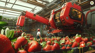 These Robots Are Set to Revolutionize Strawberry Harvesting Forever [upl. by Martsen]