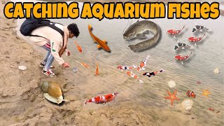 Catching Aquarium Fishes In Village  मैंने मछलियाँ पकड़ लीं [upl. by Ginsberg543]