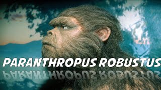 Paranthropus robustus [upl. by Enyal80]