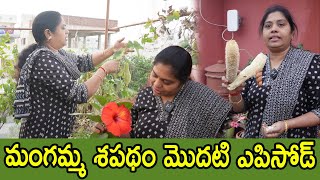 ఇష్టంగా చేసే పని ఎంత కష్టమైనా చేసేస్తాను తోటపని ఇలా  Garden restart TTH [upl. by Uolyram]