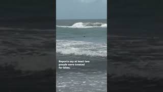 Sharks attack at South Padre Island Texas beach leaves two injured Shorts [upl. by Ebby356]