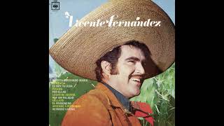 Vicente Fernández  Hermoso Cariño [upl. by Ahsiemat]