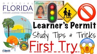 HOW TO PASS THE LEARNER’S PERMIT TEST  STUDY TIPSTRICKS amp PROCESS IN GETTING MY PERMIT [upl. by Nosnar]