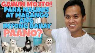 PAANO MANATILING MABANGO AT MALINIS ANG BAHAY KAHIT MAY ALAGANG PUSA  HOW TO GET RID OF PET ODOR [upl. by Swiercz817]