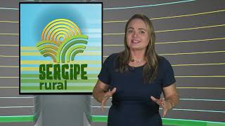 SERGIPE RURAL  PROGRAMA 484 [upl. by Zul]