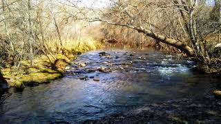 Page Springs Hatchery Trail [upl. by Etheline]