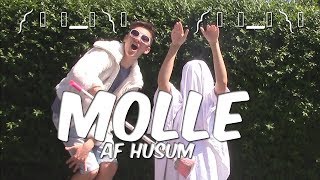 Molle feat Husum Official Music Video [upl. by Urina]