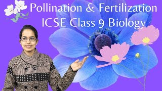 Pollination amp Fertilization Double Fertilization Triple Fusion ICSE Class 9 Biology [upl. by Nosnek]