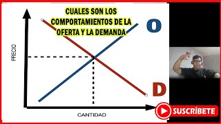 Clase Oferta y Demanda Explicadas Conceptos Punto de Equilibrio y Excedentes [upl. by Gerlac]