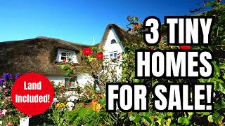 Luxury Tiny Living For Sale California Florida and Beyond [upl. by Booze]