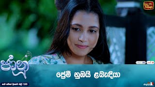 ප්‍රේමී නුඹයි ළබැඳියා [upl. by Eusebio850]