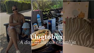 Vlogtober🌸 A day in Buyak Chamlija hidden gem in Pretoria  South African YouTuber subscribe [upl. by Ahsinad141]