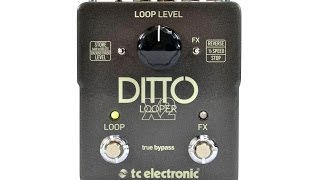 TC Electronic Ditto Looper X2 [upl. by Trudy]