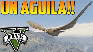 ¡¡ANDA MIRA Un Águila quot MISTERIOS GTA 5 PS4  EASTER EGG GTA 5  Localización peyotes 927 [upl. by Oneida]